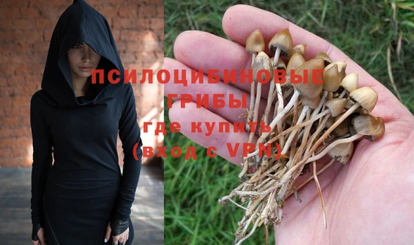 соль курить ск Арсеньев